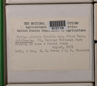 Image Associated With the Occurence